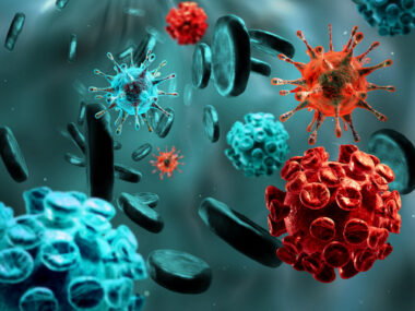 Huntington's disease and the immune system
