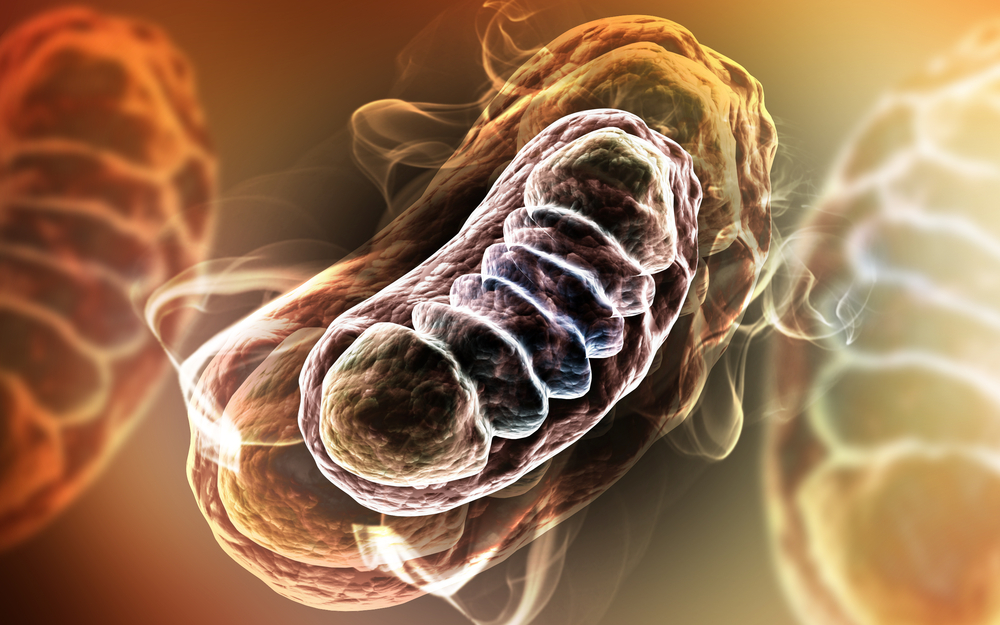 Huntington's disease and mitochondrial dysfunction