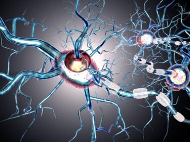 cellular structure, inflammation genes