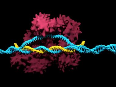 Huntington's gene editing