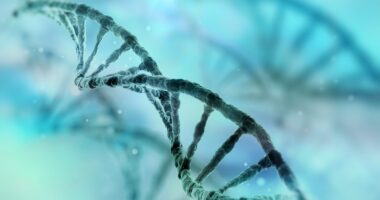 gene mutation and HD prognosis
