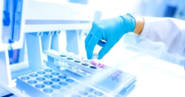 genistein, potential treatment