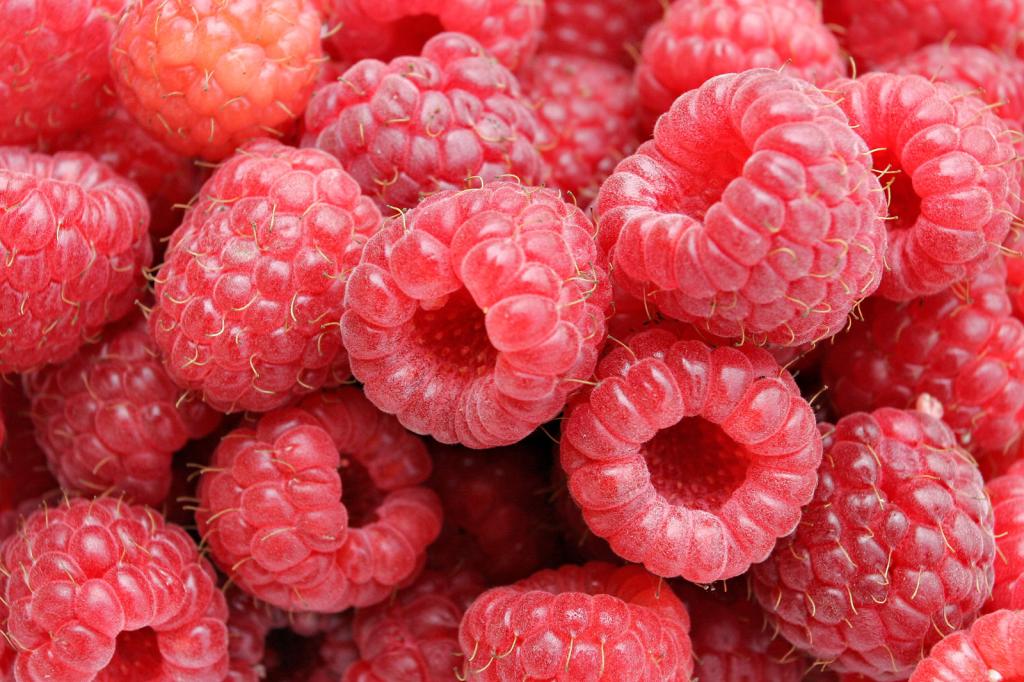 salidroside in raspberries