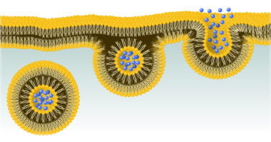 nanoparticles and CRISPR-Cas9