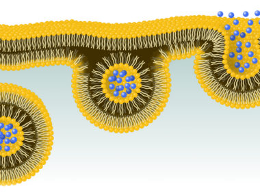 nanoparticles and CRISPR-Cas9