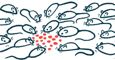 A large group of mice converge in a circle on a pile of food pellets.