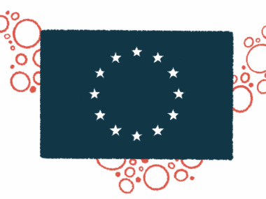 An image of the European Union flag is shown.