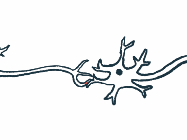An illustration of nerve cells and their axons.