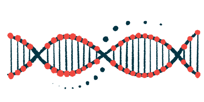 A close-up view of a DNA strand, shown horizontally, highlights its ribbon-like structure.