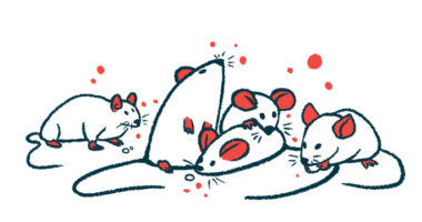 Five rodents are seen huddled together, with one holding a food pellet in its paws.