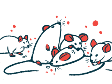 Five rodents are seen huddled together, with one holding a food pellet in its paws.