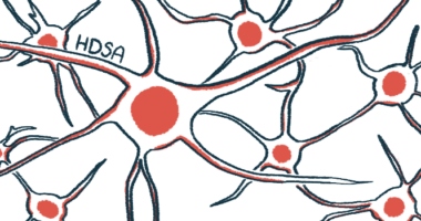 Illustration of nerve cells to accompany story about the HDSA annual convention.